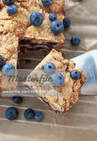 Piece of homemade blueberry cake, top view