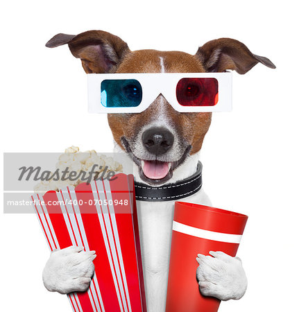 3d glasses movie popcorn dog watching a film