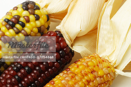 Close Up Of Three Colourful Dried Indian Corns