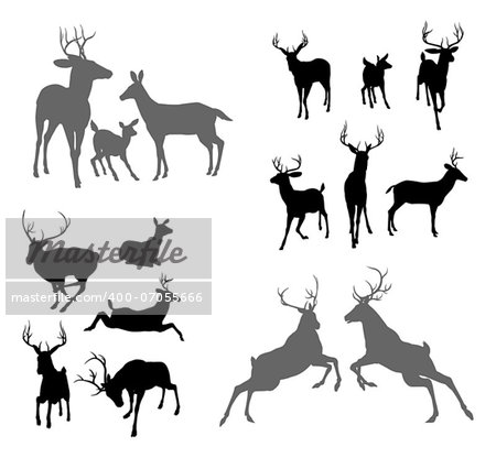 A set of deer silhouettes including fawn, doe bucks and stags in various poses. Also a family group pose and two stags fighting