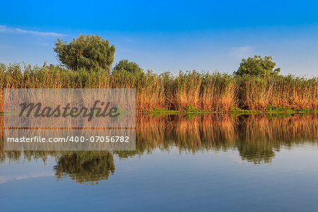 a river channel in Danube Delta, Romania