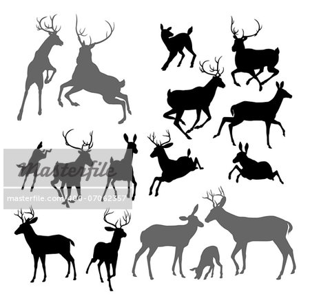 Silhouette Deer including fawn, doe bucks and stag. Also two stags fighting ans a family group set