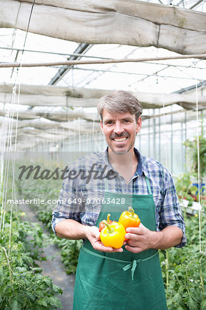 Portrait of organic farmer holding yellow peppers