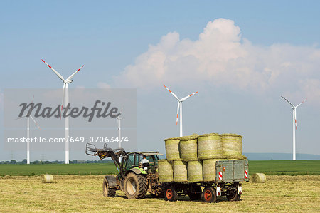 Wind turbines and harvesting, Selfkant, Germany