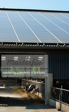 Solar panels on barn roof, Waldfeucht-Bocket, Germany
