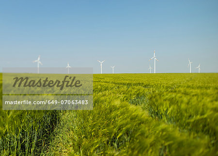 Green field and wind turbines, Selfkant, Germany