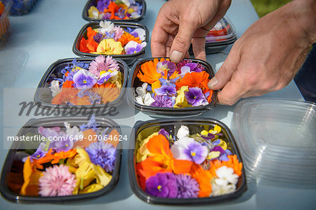 Worker preparing and packing edible flowers