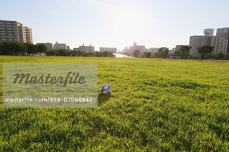 Soccer ball and grassland