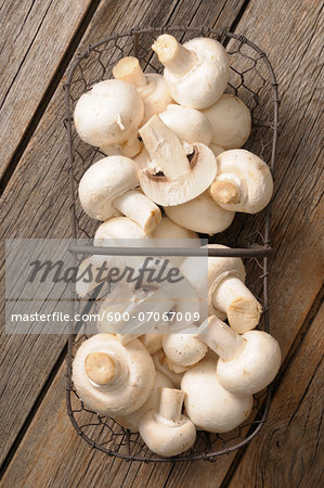 mushrooms in wire basket on wooden background, studio shot