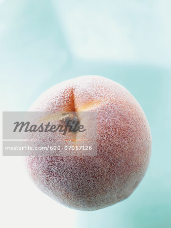 Close-up of frozen peach, studio shot