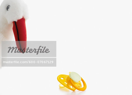 Stuffed toy, stork with pacifier, on white background, studio shot