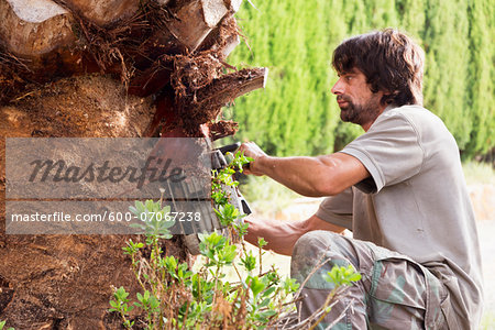 Close-up of man peeling palm tree with chainsaw, Majorca, Spain