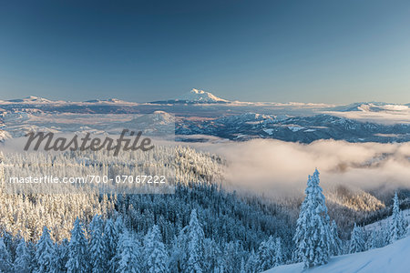 View of Mount Shasta form Mount Ashland, Southern Orgon, USA