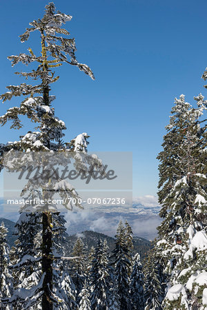 View towards Ashland from Mount Ashland Ski Resort, Southern Oregon, USA