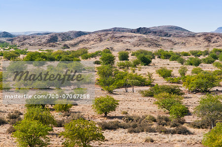 Scenic view of desert landscape, Damaraland, Kunene Region, Namibia, Africa