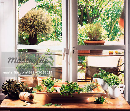 Lots of different herbs in front of a kitchen window with a view of the garden