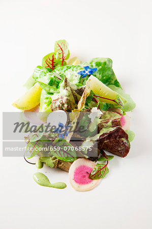 Mixed lettuce with cucumber, radish and edible flowers