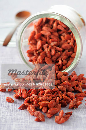 Dried goji berries