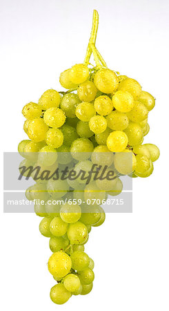 Green grapes