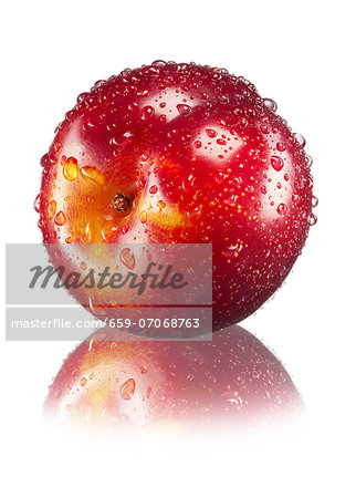 A red plum with water droplets A red plum with water droplets