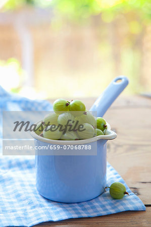 Green gooseberries in an enamel container