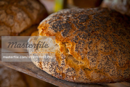 Freshly baked poppy seed bread on a wooden shelf