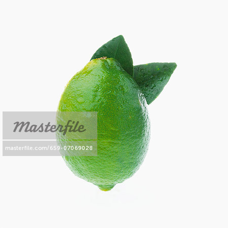 A lime