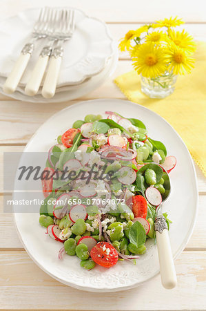Fat bean salad with radishes and cherry tomatoes