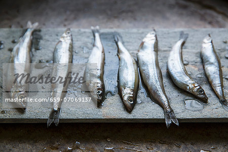 A Row of Seven Fresh Sardines on Slate