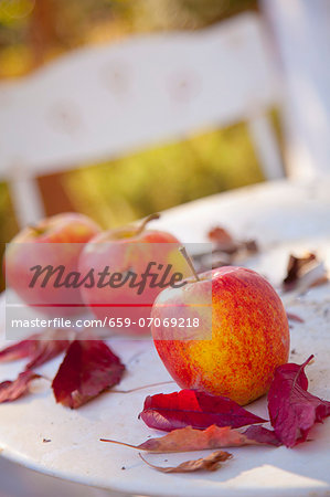 Three apples and red fall leaves