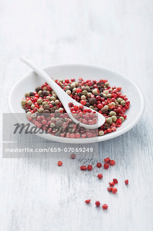 Assorted peppercorns on a plate with a spoon