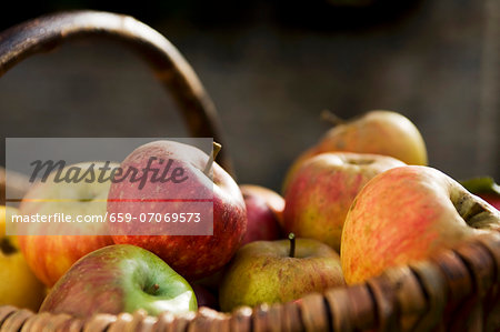 Autumn apples in a basket