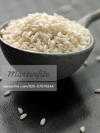 Round white rice for risotto