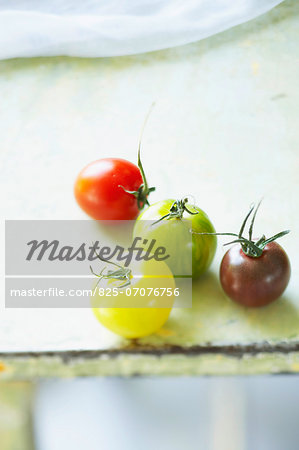 Multicolored tomatoes