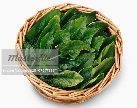 Basket of spinach leaves