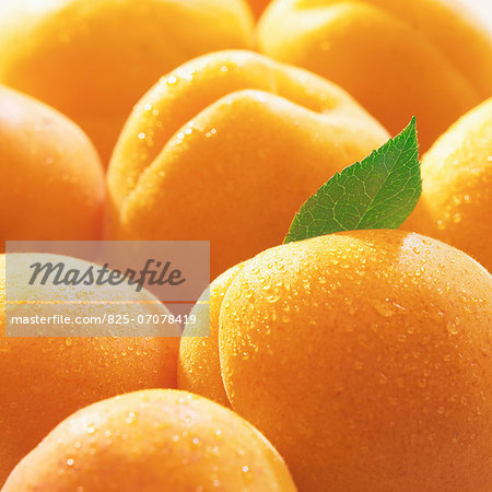 Apricots