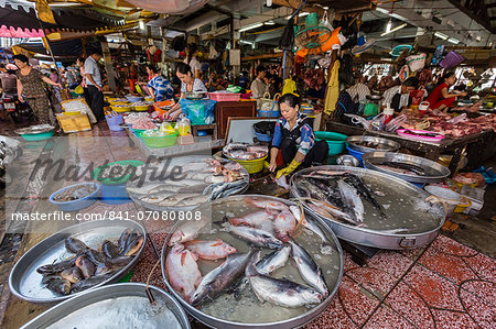 Fresh seafood for sale at market at Chau Doc, Mekong River Delta, Vietnam, Indochina, Southeast Asia, Asia