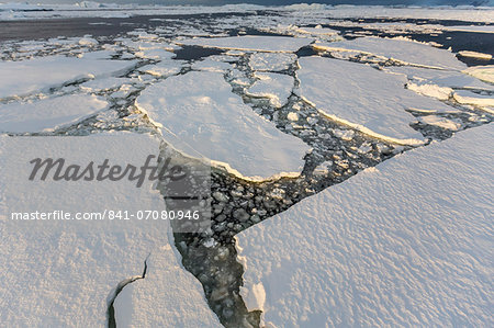 First year sea ice and brash ice near Petermann Island, western side of the Antarctic Peninsula, Southern Ocean, Polar Regions