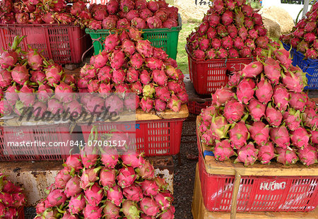 Dragon Fruit, Vietnam, Indochina, Southeast Asia, Asia