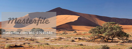 Panoramic view of the Ancient orange sand dunes of the Namib Desert at Sossusvlei, near Sesriem, Namib Naukluft Park, Namibia, Africa