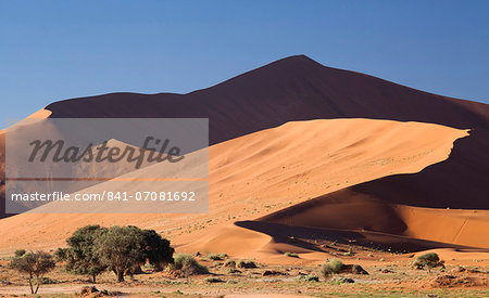 Ancient orange sand dunes of the Namib Desert at Sossusvlei, near Sesriem, Namib Naukluft Park, Namibia, Africa