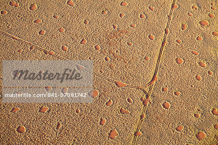 Aerial view from hot air balloon of sand road cutting across desert landscape covered in Fairy Circles, Namib Rand game reserve Namib Naukluft Park, Namibia, Africa