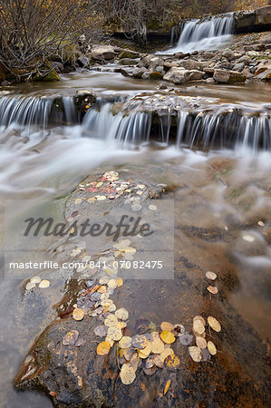 Falls on the Big Bear Creek in the fall, San Miguel County, Colorado, United States of America, North America