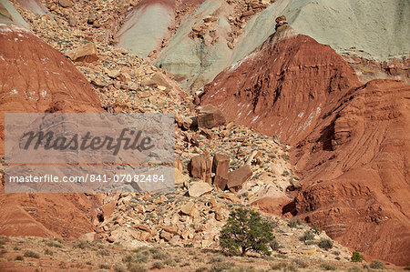 Scree field on the side of a sandstone butte, Capitol Reef National Park, Utah, United States of America, North America