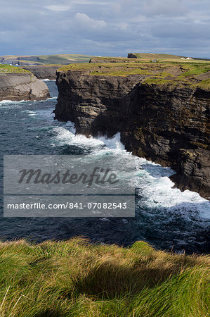 Cliffs on Loop Head, Kilrush, County Clare, Munster, Republic of Ireland, Europe