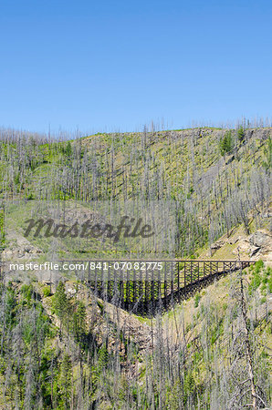 Old railway trestles in Myra Canyon, Kelowna, British Columbia, Canada, North America