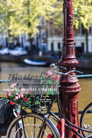 A bicycle decorated with flowers by a canal, Amsterdam, Netherlands, Europe