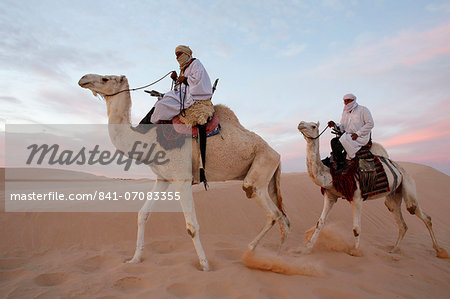 Dromedary riders in the Sahara, Douz, Kebili, Tunisia, North Africa, Africa