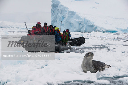 Tourists in a Zodiac looking at a leopard seal (Hydrurga leptonyx), Enterprise Island, Antarctica, Polar Regions