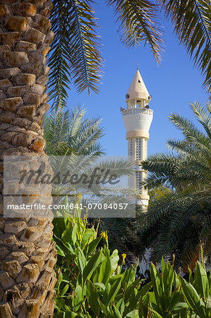 Mosque, Al Ain, Abu Dhabi, United Arab Emirates, Middle East